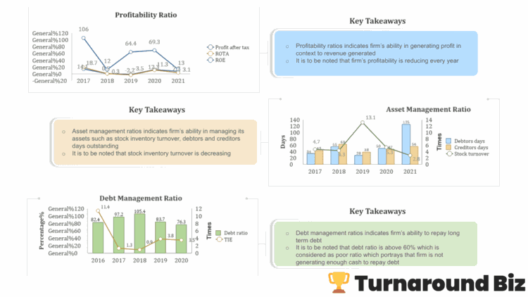 A financial ratios dashboard showing profitability ratios, asset management ratios, and debt management ratios over several years, each with key takeaways about the firm's financial health